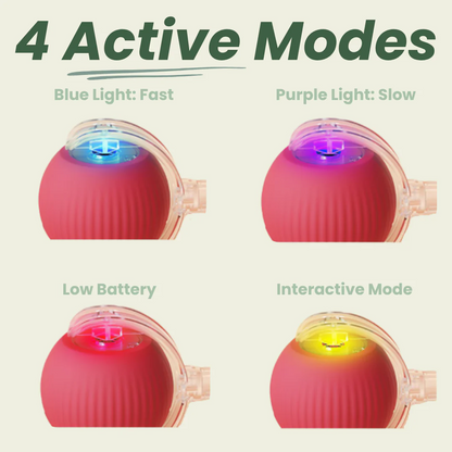 Magic Ball with Lights - Rechargeable, cat's favorite toy!