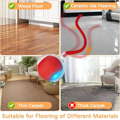 Magic Ball with Lights - Rechargeable, cat's favorite toy!