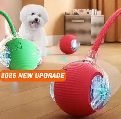 Magic Ball with Lights - Rechargeable, cat's favorite toy!