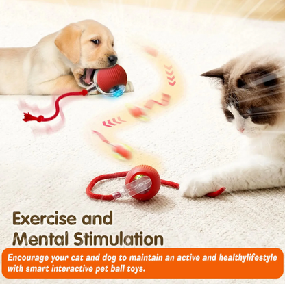 Magic Ball with Lights - Rechargeable, cat's favorite toy!